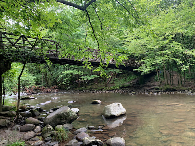 グレートスモーキー山脈国立公園の魅力！おすすめホテル＆見どころ完全ガイド アメリカLifeNote