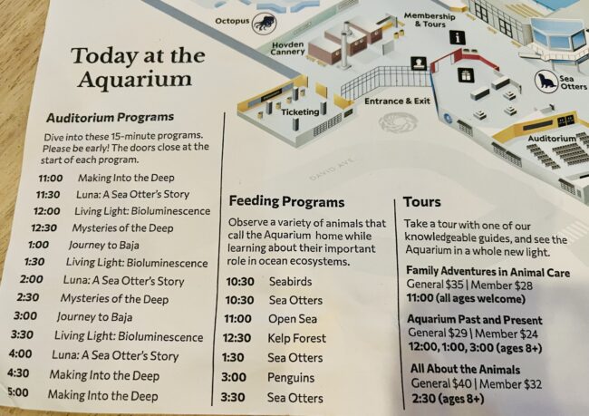 ラッコを間近で見れる人気観光地！モントレーベイ水族館の見どころ紹介