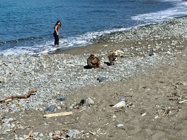 Noyo Beach